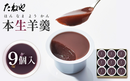 【たねや】本生羊羹 9個入 BN04