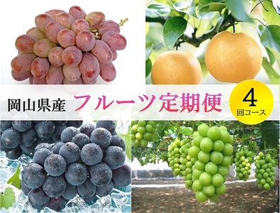 岡山県産 フルーツ定期便 4回コース【2026年産】