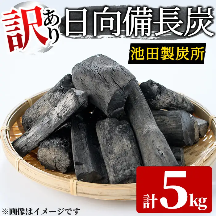 ＜訳あり＞ 日向備長炭(5kg) 木炭 国産【IK-4】【池田製炭所】