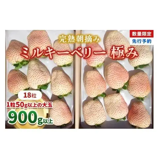 いちご 完熟 朝摘み ミルキーベリー 極み 18粒【2027年 先行予約】