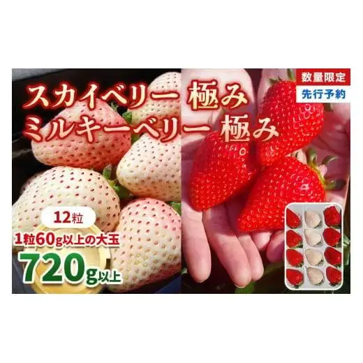 いちご スカイベリー 極み×ミルキーベリー 極み 12粒 【2027年 先行予約】
