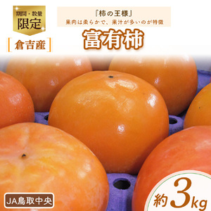 【数量限定】 富有柿 （約3kg） 柿 果物 フルーツ
