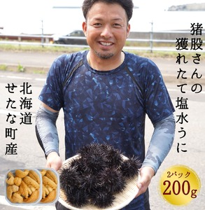 【2026年7月から順次発送】【産地直送】北海道産 塩水うに 200g キタムラサキウニ ミョウバン不使用 直送 旬 パスタ 寿司 焼き うに丼 海鮮 せたな町 ふるさと納税