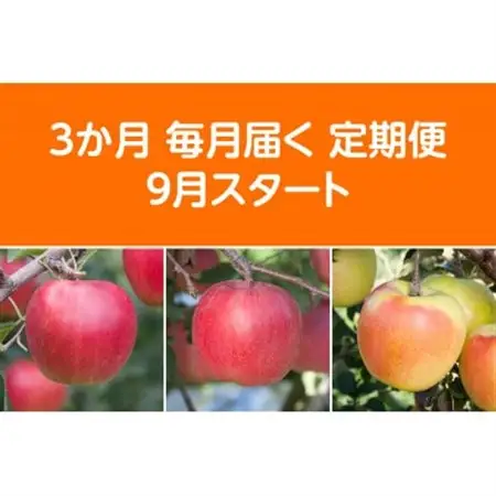 【発送月固定定期便】先行予約〈2026年9月より順次発送〉甘味系・青森県産りんご約3kg 全3回_果物・フルーツ りんご  リンゴ 林檎  定期便 定期便  _【配送不可地域：離島・沖縄県】【4051687】