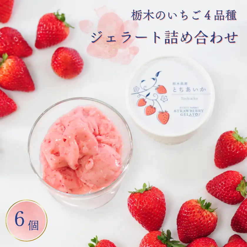 栃木のいちご4品種 ジェラート詰め合わせ 6個_菓子・スイーツ アイス・ジェラート  _【配送不可地域：離島】【1514459】
