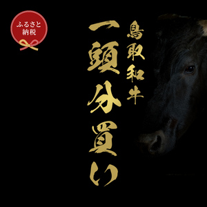 Y286 【和牛セレブ】鳥取和牛一頭分（12分割配送）