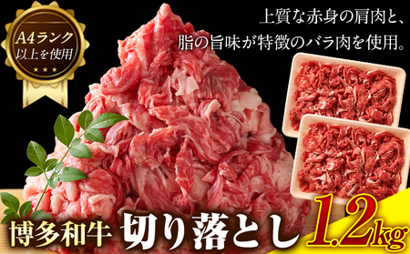 博多和牛切り落とし 1.2kg (600ｇ×2パック)《30日以内に出荷予定(土日祝除く)》 博多和牛 株式会社MEAT PLUS 牛肉 牛肩 バラ A4ランク 以上使用 厳選