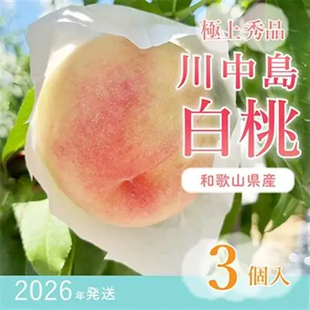 先行受付!　【川中島白桃】大玉特秀品　食べきりやすい3個入り　こだわり農家厳選!【配送不可地域：離島】【1525341】