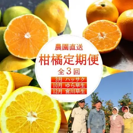 【発送月固定定期便】和歌山からの贈り物　農園直送　季節の柑橘定期便(贈答用)　各5kg全3回【配送不可地域：離島・北海道・沖縄県】【4053733】