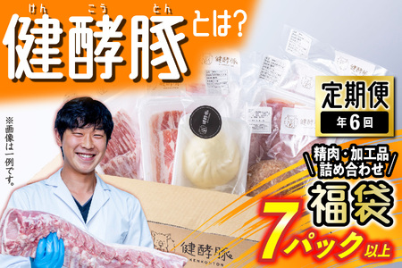 ＜ 定期便 6回 ＞ 北海道産 健酵豚 お楽しみ 福袋 （ 加工品 あり） 隔月 各 7パック以上  豚肉 精肉 加工品 セット 詰め合わせ ブランドポーク