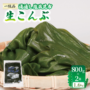 塩蔵 生こんぶ 2袋 (1.6kg) コンブ 昆布 海藻 海産物 海鮮 魚介 魚介類 おでん 煮物 三陸 岩手県 大船渡市