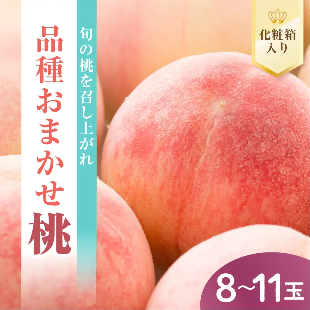 【先行予約】 数量限定 令和8年産 もも 化粧箱入 8～11玉 品種 おまかせ 2026年8月中下旬～9月上旬頃 お届け予定