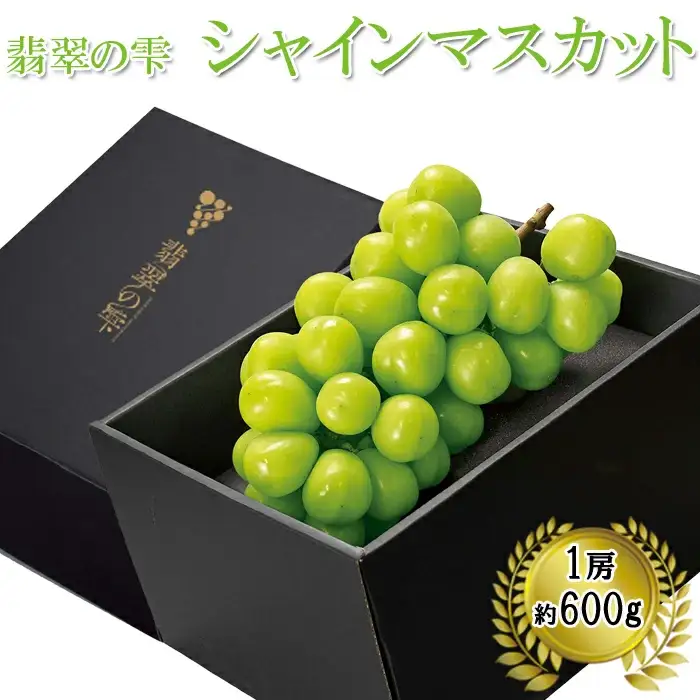【予約：お届け2026年9月上旬～】翡翠の雫 シャインマスカット 1房 約600g×1【JU米子高島屋選定品】 ギフト 高級 2026 予約 ぶどう 皮ごと 種なし 果物 フルーツ 樹上完熟 完熟 こだわり マスカット 朝採れ 島根県 安来市【34-O1-01】