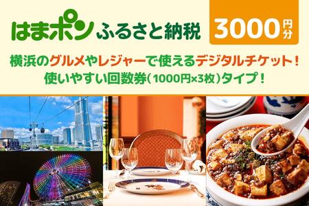 はまポンふるさと納税チケット3000円分（1000円×3枚） AJV0001
