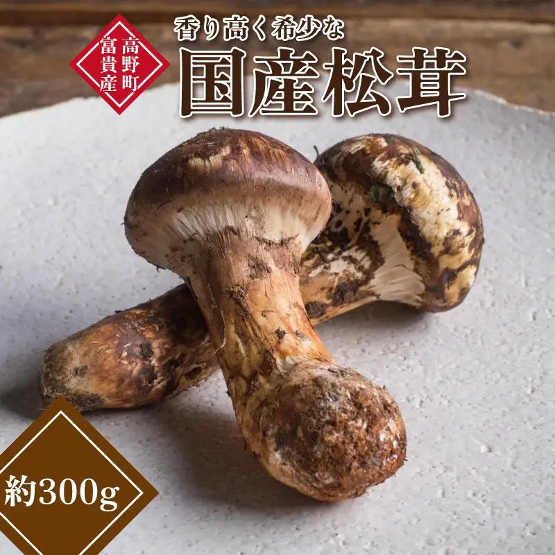 和歌山県産 香り高く希少な国産 松茸 約300g【2026年10月中旬頃より順次発送】【OKT2】