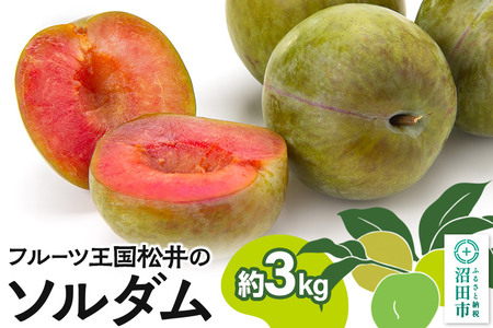 《7月下旬～8月上旬にお届け》 プラム「ソルダム」約3kg フルーツ王国松井