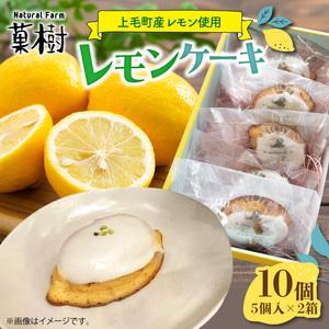 【ナチュラルファーム菓樹】レモンケーキ 10個（5個入×2箱）～上毛町産レモン使用～  _NK1106