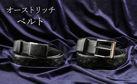 オーストリッチ ベルト クロ 幅35mm メンズ  バックルタイプ