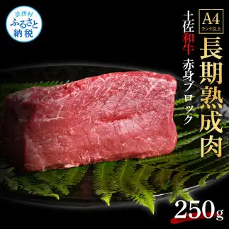 天下味 エイジング工法 熟成肉 土佐和牛 特選 赤身ブロック 250g 