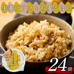 【栄養満点】生姜プラスもち麦ごはん 160g×24個 ご飯パック