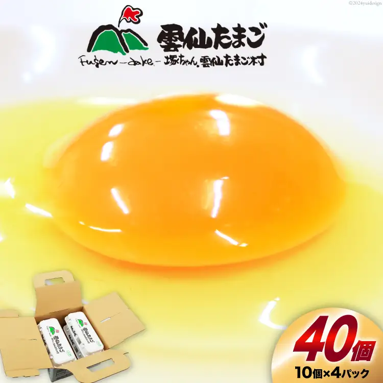 BI024 雲仙たまごLサイズ  40個 (10個入り×4パック) (37個＋割れ補償3個入り) [長崎県 島原市]