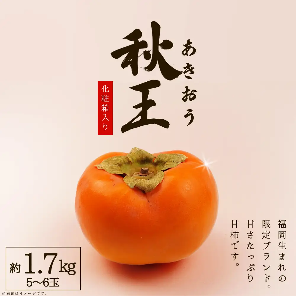 福岡県産 柿 秋王 約1.7kg (5～6玉)化粧箱入り 3W16