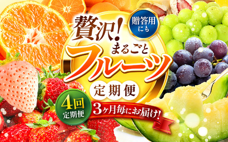 【 定期便 4回 】 3ヵ月毎にお届け！フルーツ定期便！  高評価 （いちご みかん 不知火 スイカ ぶどう メロン シャインマスカット 梨 柿 アイス クレープ） 1年 フルーツ定期 フルーツ定期便 果物定期便 果物定期 定期便 フルーツ 果物 お試し 旬 取れたて  熊本県 玉名市