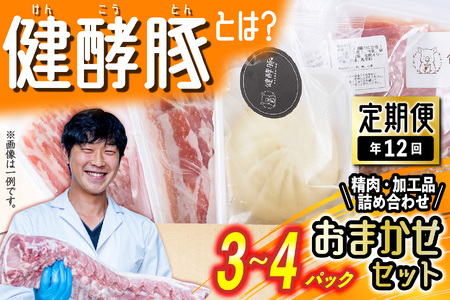 ＜ 定期便 12回 ＞ 北海道産 健酵豚 おまかせ セット （ 加工品 あり） 毎月 各 3～4 パック 豚肉 精肉 加工品 詰め合わせ ブランドポーク
