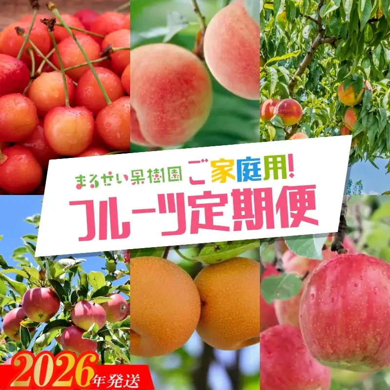No.2945 まるせい果樹園　ご家庭用6回定期便【2026年発送】