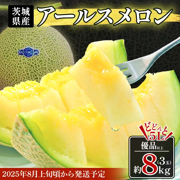 490 アールスメロン 3～5玉 約8kg 優品以上 高級 茨城 JA水戸産