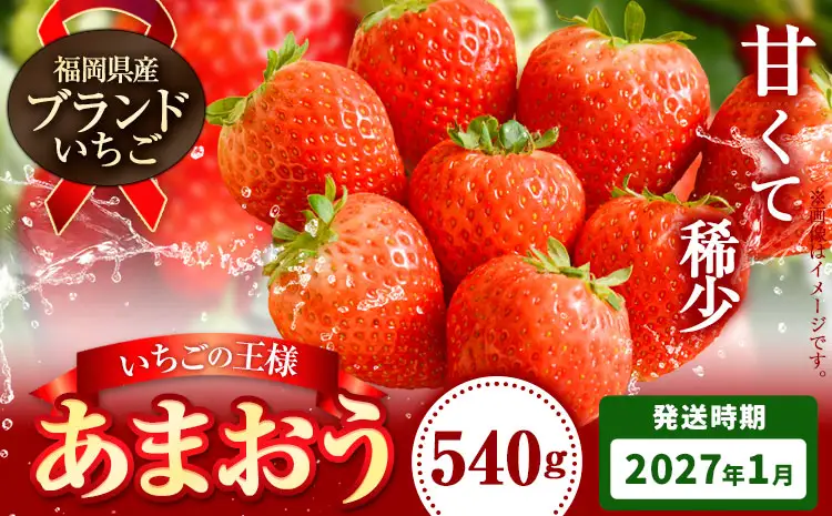 いちご あまおう 先行予約 いちご 大量 540g 選べる発送時期 定期便 フルーツ《2027年1月上旬-1月末頃出荷》苺 旬 くだもの 果物 福岡県 小竹町