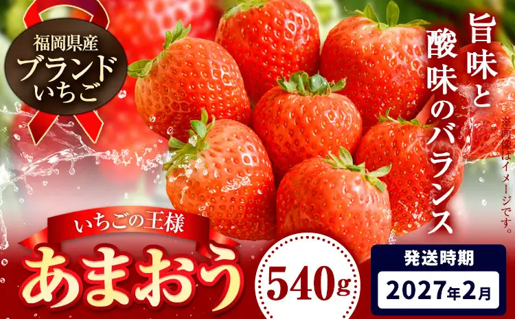 いちご あまおう 先行予約 いちご 大量 540g  フルーツ《2027年2月上旬-2月末頃出荷》苺 旬 くだもの 果物 福岡県 鞍手町 
