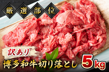 訳あり 博多和牛切り落とし 5kg 黒毛和牛 お取り寄せグルメ お取り寄せ 福岡 お土産 九州 福岡土産 取り寄せ グルメ MEAT PLUS CP033