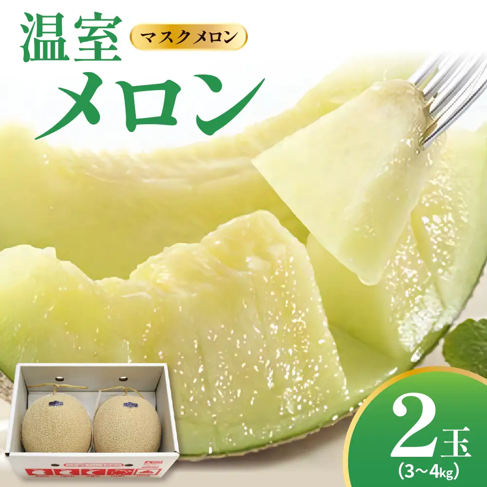 【先行予約】 令和8年産 温室 メロン マスクメロン 2玉 ( 3～4kg程度 ) 2026年9月上旬～中旬頃 お届け予定