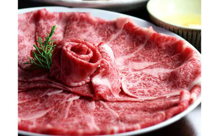【6ヶ月定期便】博多和牛 ザブトンと肩ロース芯スライス しゃぶしゃぶ・すき焼き用 4人前