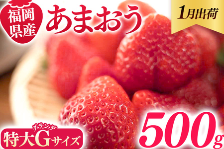 福岡県産 あまおう 500g （250g×2パック） いちご 1月以降順次発送 いちご 苺 フルーツ 果物 くだもの 大粒Gサイズ グランデ 農家直送 大粒 不揃い 福岡県 福岡 九州 グルメ お取り寄せ