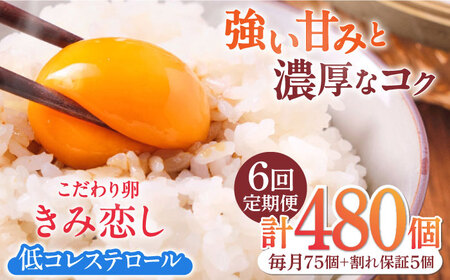 【6回定期便】きみ恋し 80個（75個+割れ保証5個）×6ヶ月 総計480個[AFAJ013]