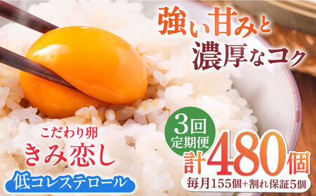 【3回定期便】きみ恋し 160個（155個+割れ保証5個）×3ヶ月 総計480個[AFAJ016]