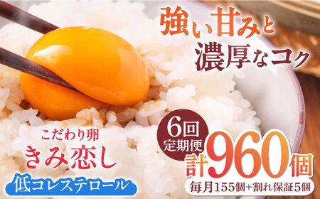 【6回定期便】きみ恋し 160個（155個+割れ保証5個）×6ヶ月 総計960個[AFAJ017]