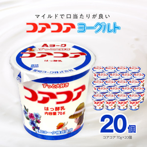 愛知ヨーク　コアコアヨーグルト　20個入　ヨーグルト デザート 健康ヨーグルト 給食ヨーグルト 保育園ヨーグルト 幼稚園ヨーグルト 小学校 中学校 支援学校 病院ヨーグルト 高齢者施設ヨーグルト [108A01]