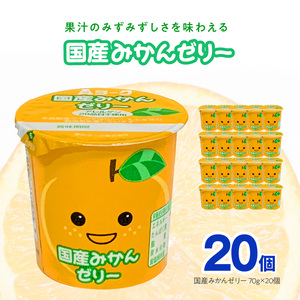 愛知ヨーク　国産みかんゼリー　20個入　ゼリー デザート 国産果汁 アレルギー不使用 健康 給食 保育園 幼稚園 小学校 中学校 支援学校 病院 高齢者施設[108A03]