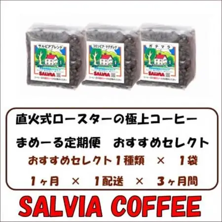 【毎月定期便】まめーる店主おすすめセレクト200g【粉】全3回【4053862】