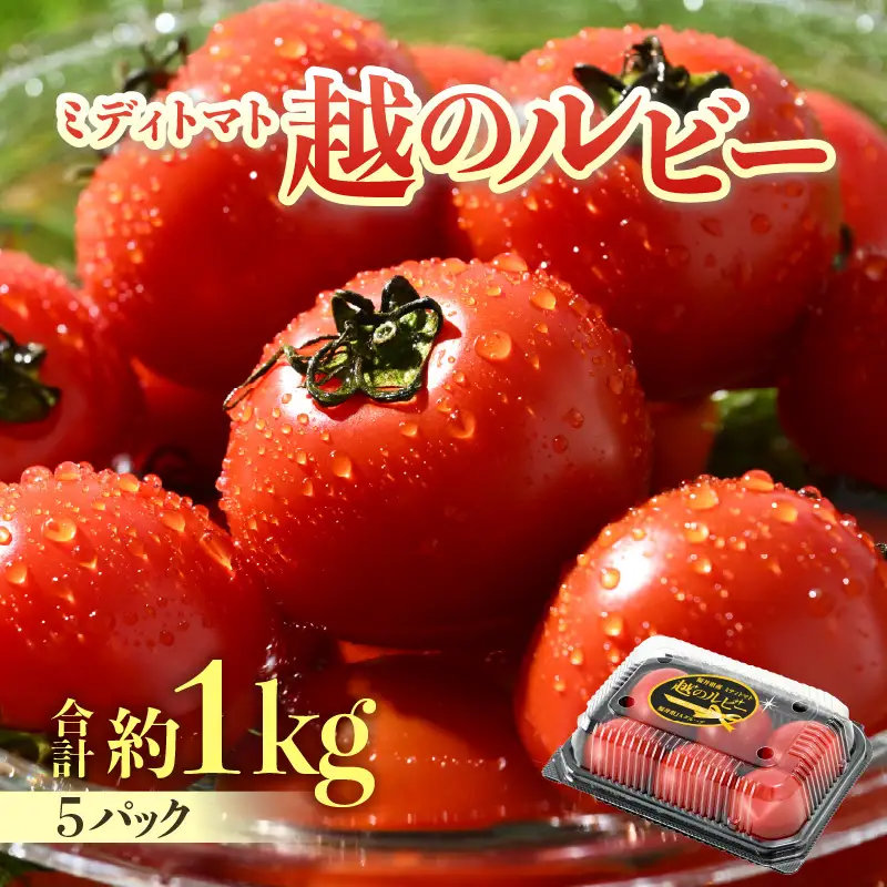 【先行予約】ミディトマト 越のルビー パック入り 約1kg 5パック（4パック＋品質補償1パック） / 福井県産 ブランド トマト 福井県産ブランドトマト 農家直送 有機肥料 低農薬 完熟 甘い ※2026年9月下旬より順次発送 [aw069-a009]