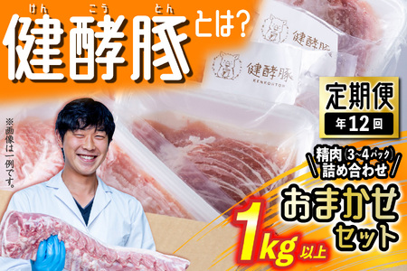 ＜ 定期便 12回 ＞ 北海道産 健酵豚 おまかせ セット （ 精肉 詰め合わせ ） 毎月 各 1kg 以上 ( 3 ～ 4 パック ) 豚肉 おためし 詰め合わせ ブランドポーク 