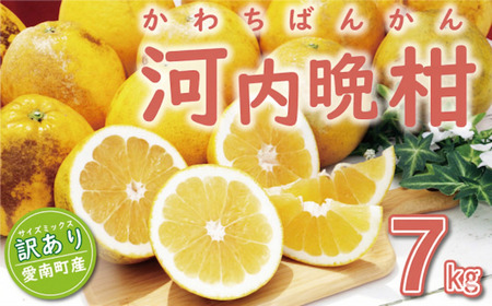 訳あり 河内晩柑 7kg (サイズミックス) 傷み保証500g  河内晩柑