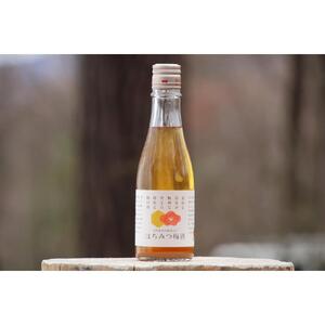 ＜1月下旬～発送開始＞ミツバチが育てた梅とはちみつの梅酒 300ml 3本セット【酒 アルコール 蜂蜜 ハチミツ ギフト おすすめ 群馬県 長野原町 北軽井沢】