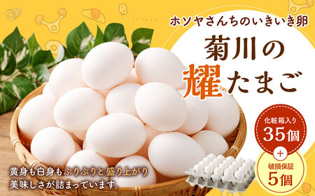 「 ホソヤさんちのいきいき卵 」菊川の耀たまご 40個 （ 割れ補償 5個含む ） セット｜ 化粧箱入 たまご 卵 玉子 生卵 静岡 国産