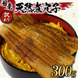 【 訳あり 】国産 肉厚 煮穴子 300g 冷凍 あなご あなご