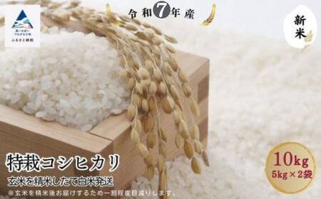 特栽コシヒカリ玄米10㎏（5㎏×2袋）精米したて白米発送 こしひかり