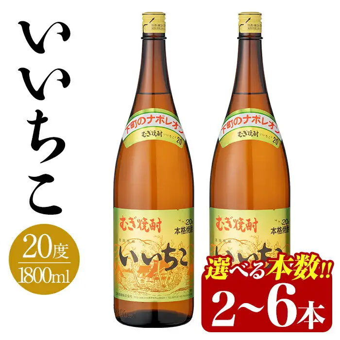 いいちこ ビン 20度(1800ml×2本)酒 お酒 焼酎 麦焼酎 アルコール 三和酒類【114002300】【一般社団法人　地域商社USA】